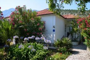Casa Svjetlana
